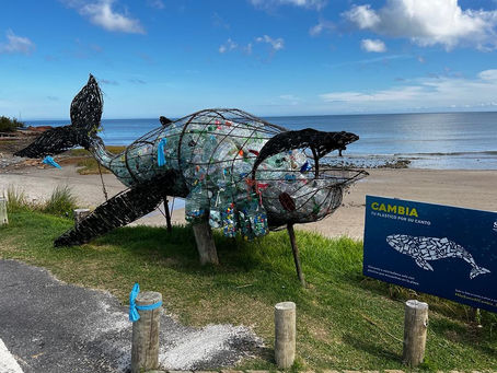 Ballena Franca Austral