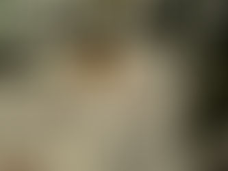 Esteña Press - Infoturismo