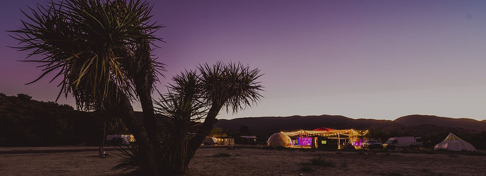 Nomadic_Campground_at_Night_with_Joshua_Tree_(Mast).jpg