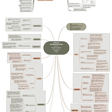 Patologie neurologiche equine.jpg