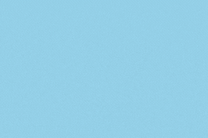 Traditional-Packers-Logistics-traditionalpackersandlogistics.com-ebook-download-gif-300-×-200-px.gif