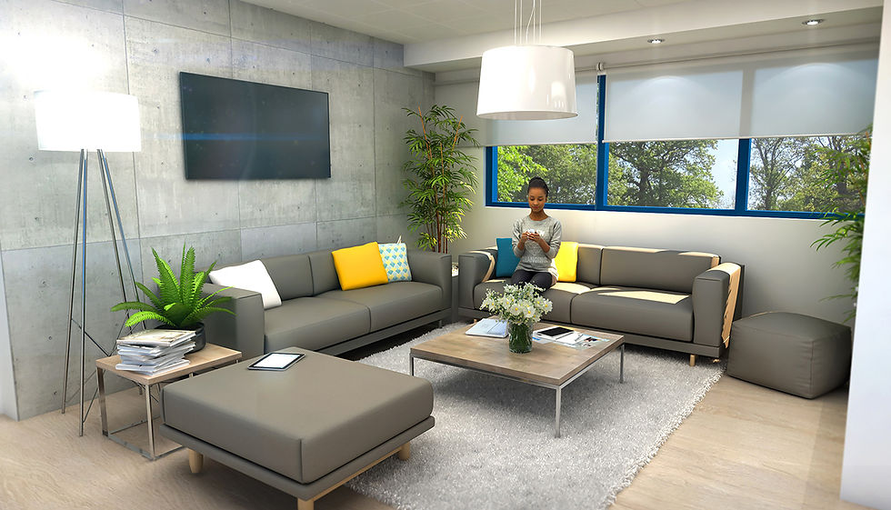 Showroom SFA