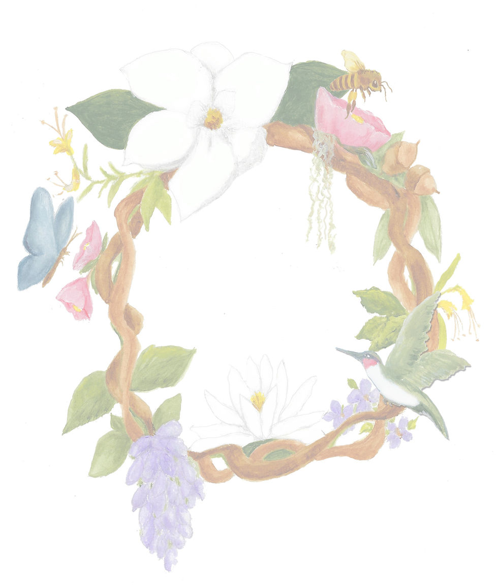 Bayoumonsterbackcover copy_edited.jpg