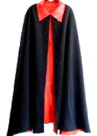 Academician_Gown_edited.png