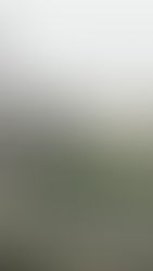 Light snow flurries drift through the air over rooftops in Florence, melting as they fall onto wet stone below.