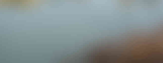 Peaceful view of the Arno River in Florence, with elegant riverside buildings and soft reflections.