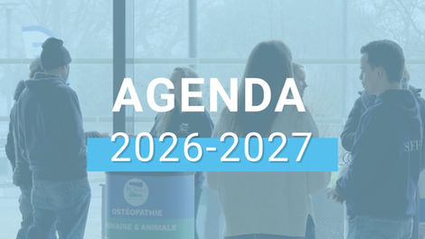 Rencontrez ISOstéo en 2026-2027