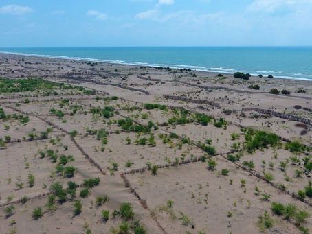Çukurova’nın önemli doğal zenginliklerinden, Ağyatan Lagünü