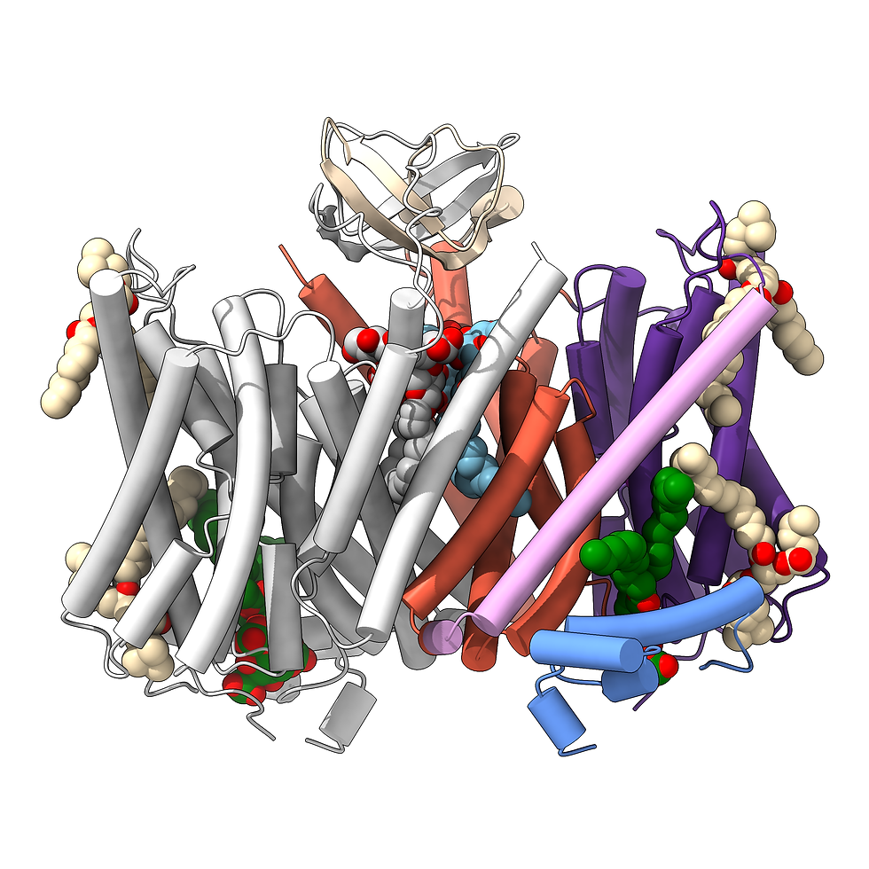New ChemBioHub paper in Nature Communications: high-resolution structures of NHE6 and NHE9