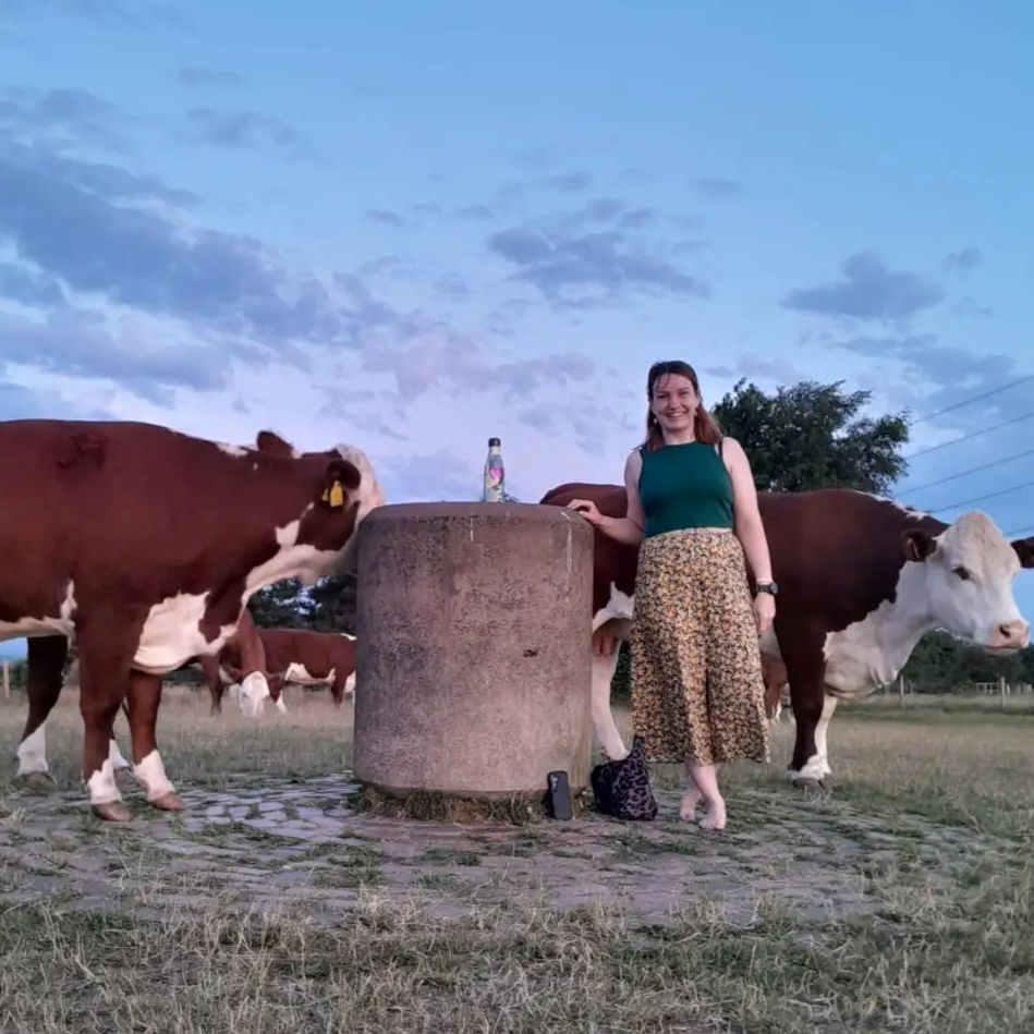 During the sunrise, a herd of cows came by for a morning stroll. It felt like they had joined us for the main event!