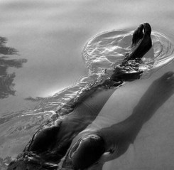 6B908C64-A07F-4E95-A2EF-812852FCB4EA.jpeg
