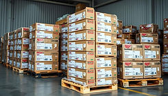 IQF-frozen-chicken-feet-pallets-ready-for-export-—-Zeki-Frucht-GmbH.jpeg