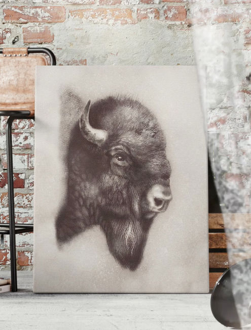 charcoal bison
