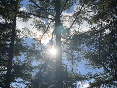 心を穏やかにする事