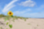lato 2011 032.JPG