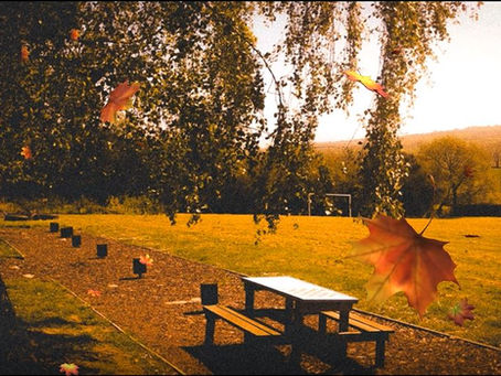 Brand New Blog - Autumn 2020