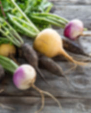 AdobeStock_129135812.jpeg