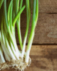 scallions.jpeg