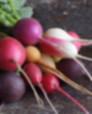 AdobeStock_53577271.jpeg