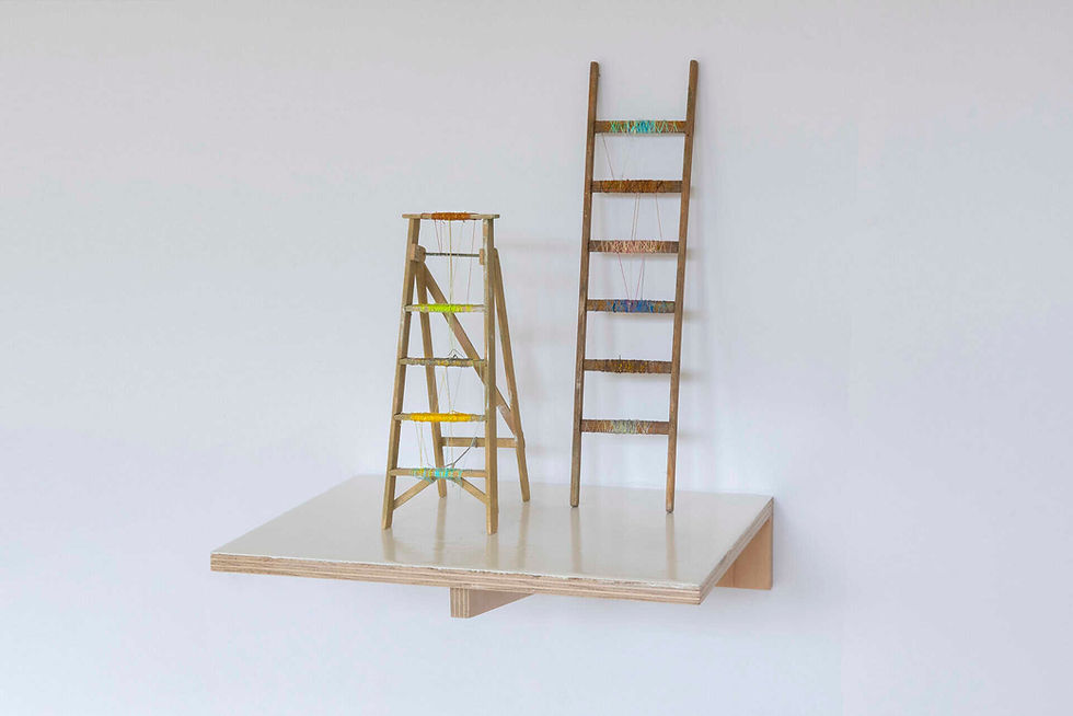 Programma workshop - Waar leidt jouw ladder naartoe?