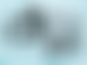 El árbol y los bosques también tienen su abrazo