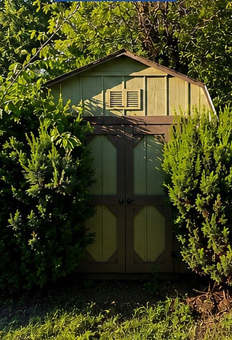 shed demo