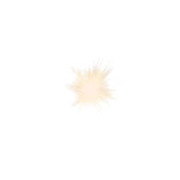 Shine Flash Lighter