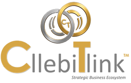 cllebitlink _logonew_edited.png