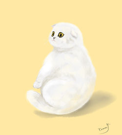 Cat Drawing