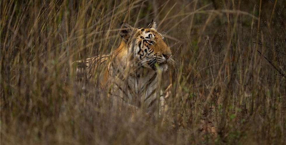 Why Does Anyone Do Anything?