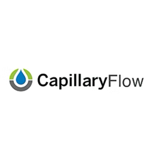 Capillary Flow