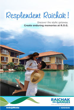 AW_ROG_pot purri 2013_rog.jpg