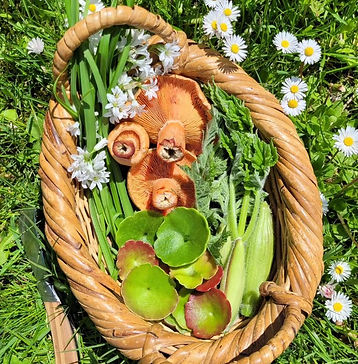 Foraging basket goodies.JPG