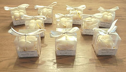 WhatsApp Image 2026-02-20 at 11.39.34.jpeg