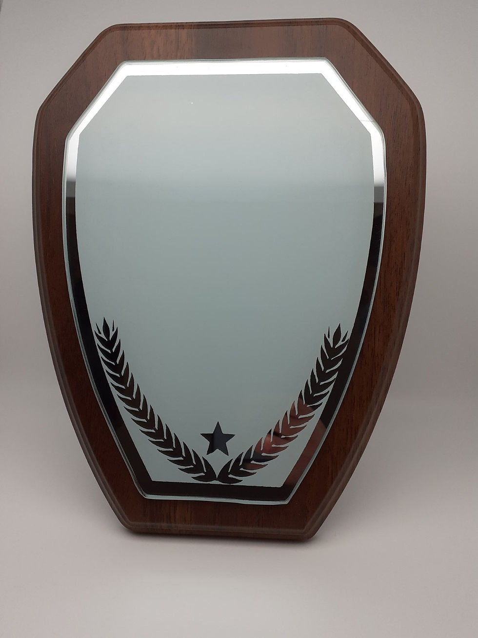 Miniature : Trophée Bois Crystal