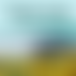 Keep your 'van in tip top condition!