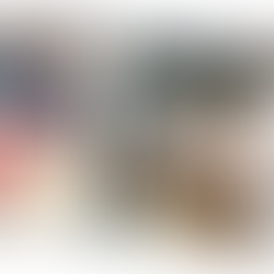 It's much more than a van... it's a lifestyle choice