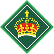 kings-scout-award-graphic.png