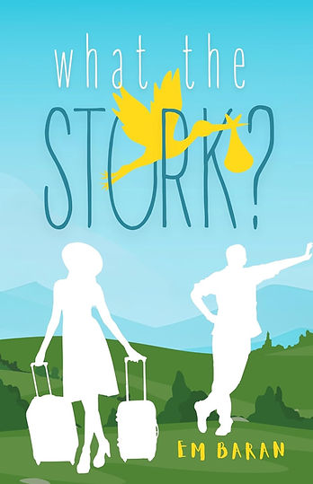 What the Stork? Enemies to Lovers x Second Chance book by Em Baran