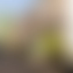 UK Landlords Selling in Record Numbers Amid Tax Fears