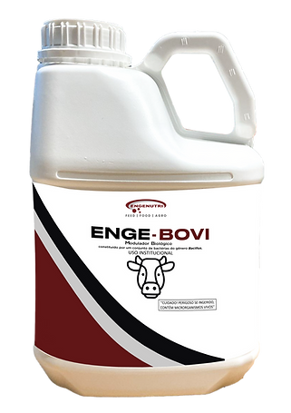 engebovi.png