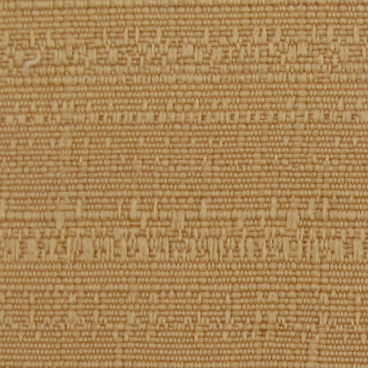 Raffia 19