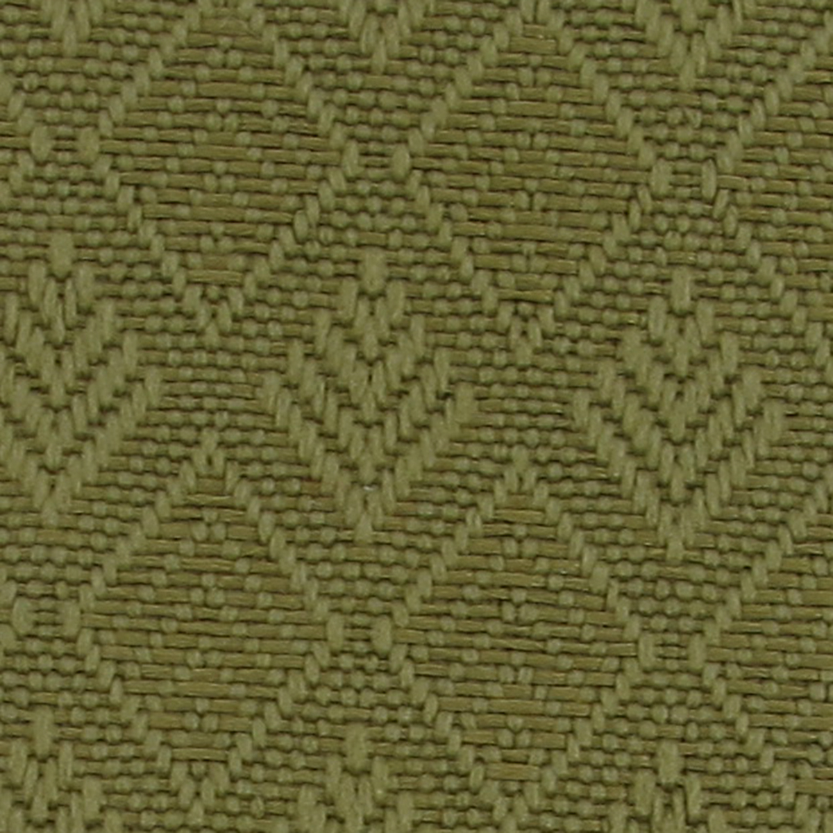 Olive 30