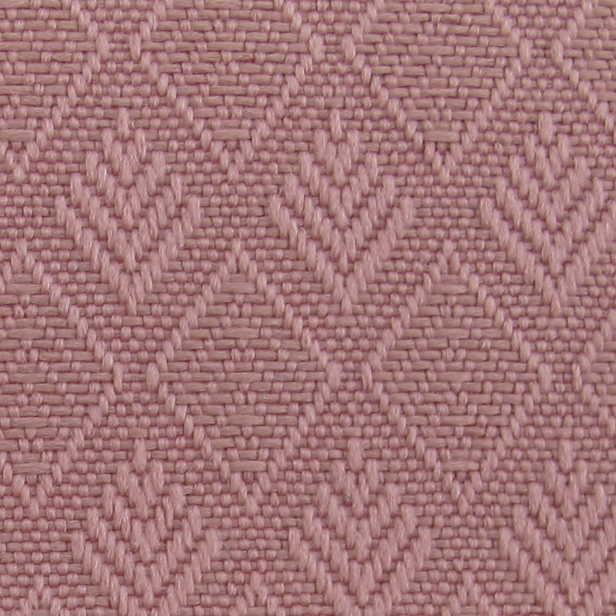 Petal 5