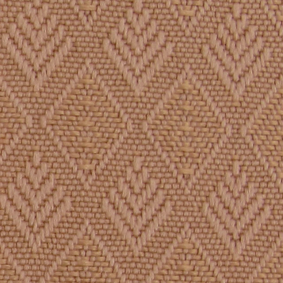 Cocoa 58