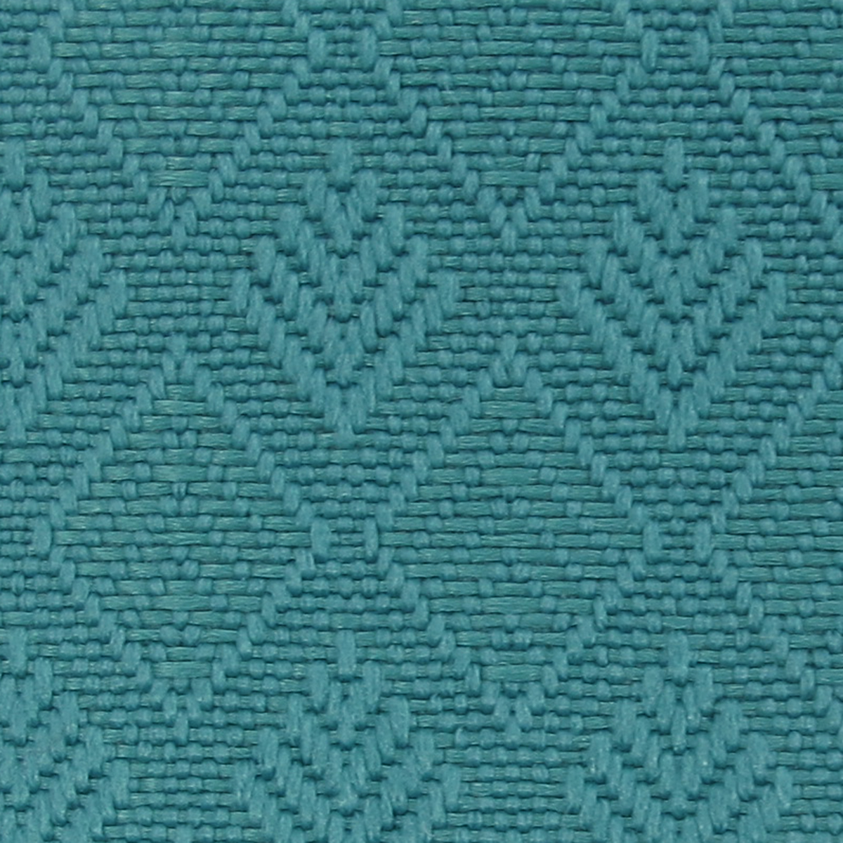 Spruce 33