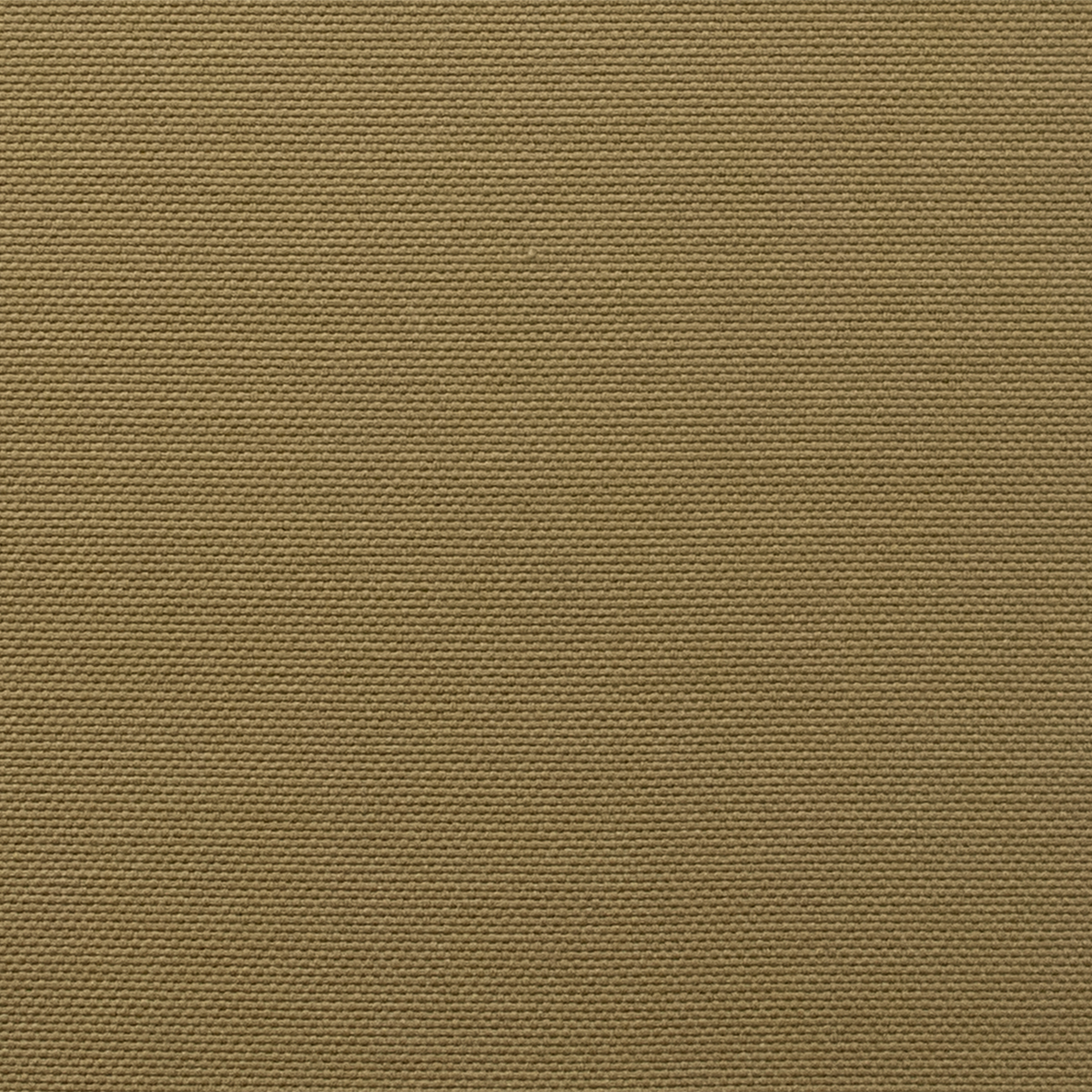 Mocha 14