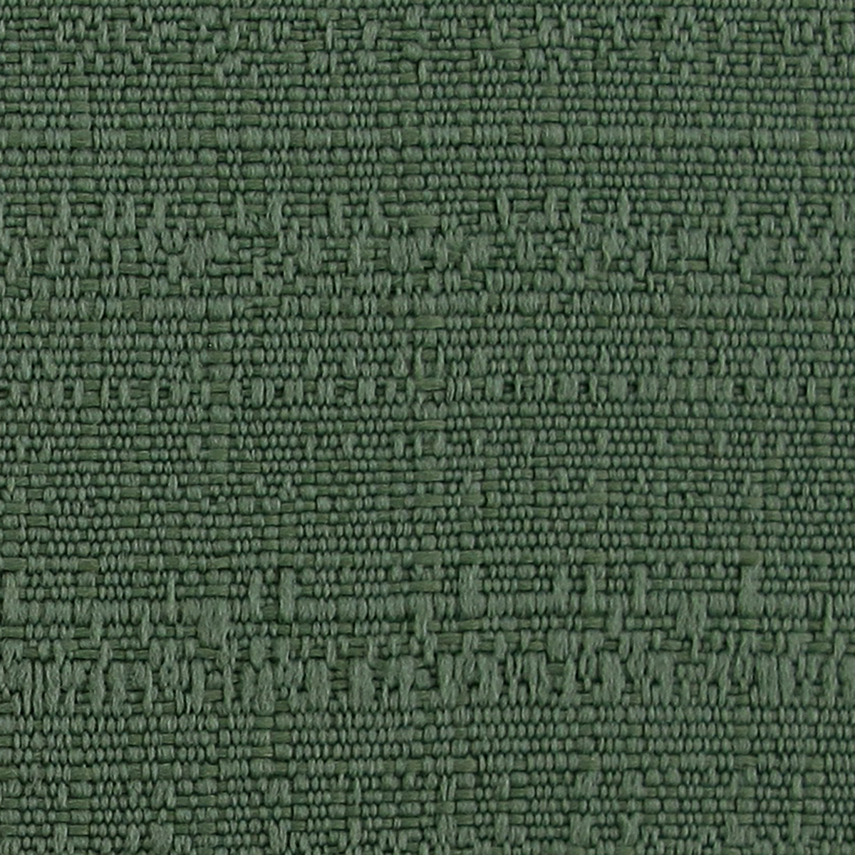 Moss 3