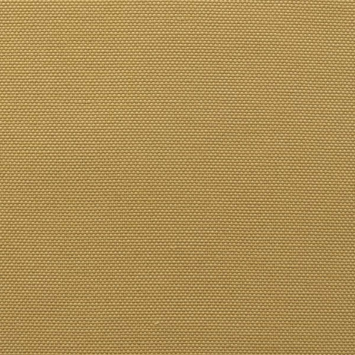 Raffia 19
