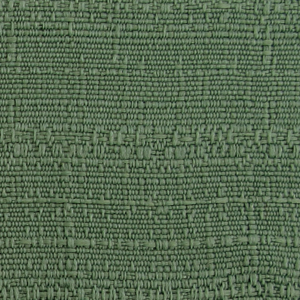 Fern 29